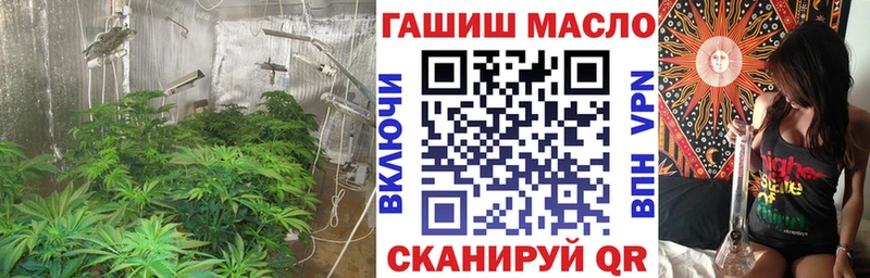 ТГК гашишное масло продажа наркотиков площадка Telegram Элиста