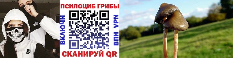 Галлюциногенные грибы прущие грибы  Элиста 